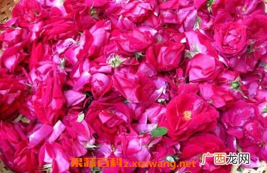玫瑰糖的功效与作用 玫瑰糖的食用方法