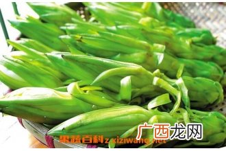 霸王花的功效 霸王花的药用价值