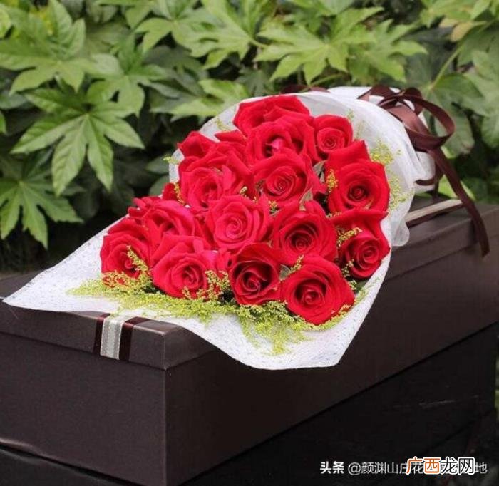 送喜欢的女孩多少朵玫瑰花，19朵玫瑰花的花语是什么