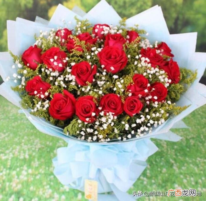 送喜欢的女孩多少朵玫瑰花，19朵玫瑰花的花语是什么