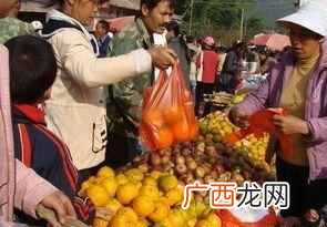 乡村暴利项目 在农村做什么能赚钱