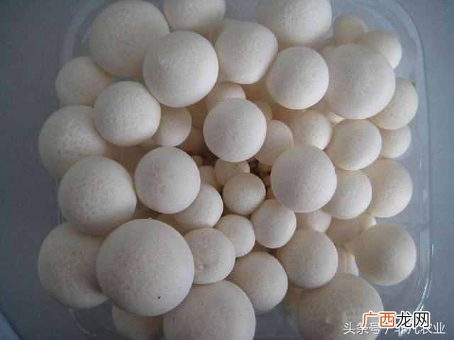 这6个好项目不愁没销路 种植什么稳赚