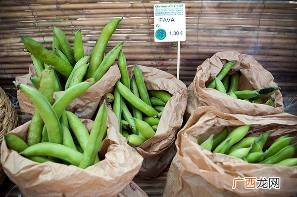抗老的3食物让你健康活百岁