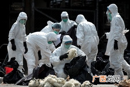 江苏确诊H7N9病例旅游疫情变警示