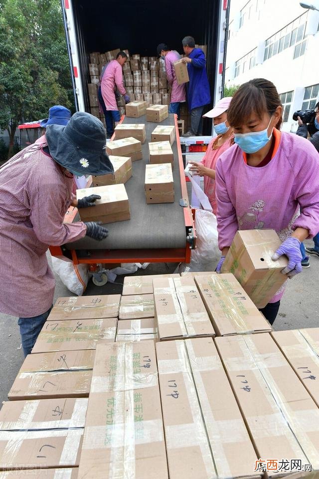 5千元以下投资小项目,投资千元的农村创业项目