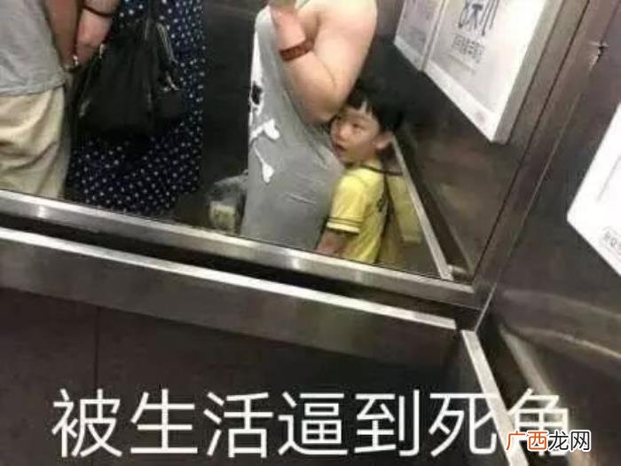 逗比搞笑表情包合集 逗比搞笑图片