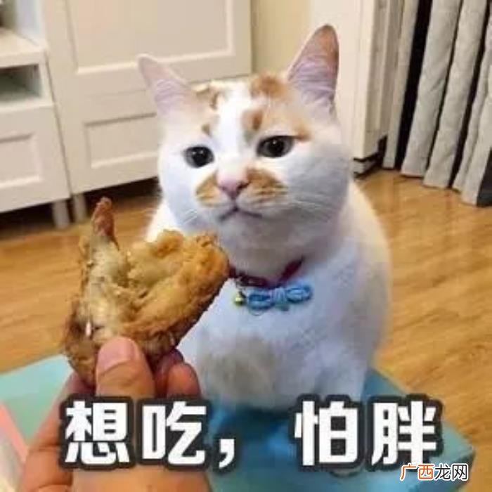 逗比搞笑表情包合集 逗比搞笑图片