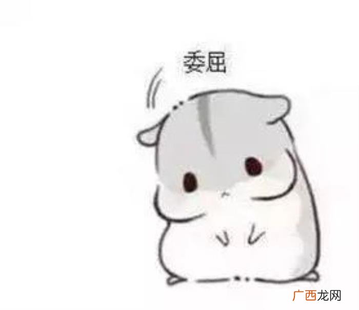逗比搞笑表情包合集 逗比搞笑图片