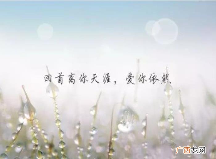一个人撑得很累的朋友圈说说 一个人撑得很累的说说