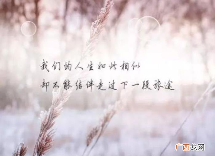 一个人撑得很累的朋友圈说说 一个人撑得很累的说说