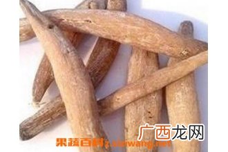 紫茉莉根的功效与作用 紫茉莉根抗癌吗