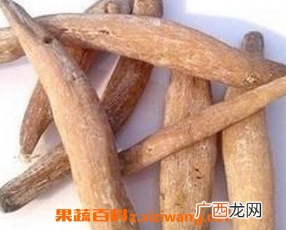 紫茉莉根的功效与作用 紫茉莉根抗癌吗