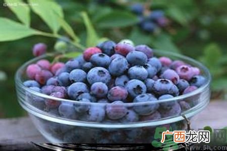 眼睛干涩怎么办?眼睛干涩吃什么好?