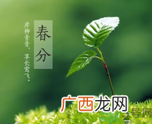 春分时养生要注意什么？春分要预防哪些疾病？