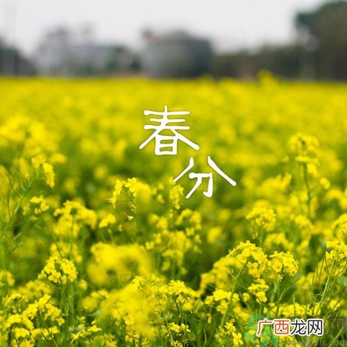 春分时养生要注意什么？春分要预防哪些疾病？