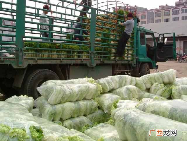 批发菜市场什么最赚钱（蔬菜批发市场进货技巧