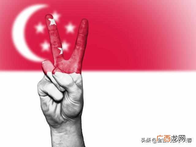 新加坡国立大学研究生申请要什么条件（新加坡