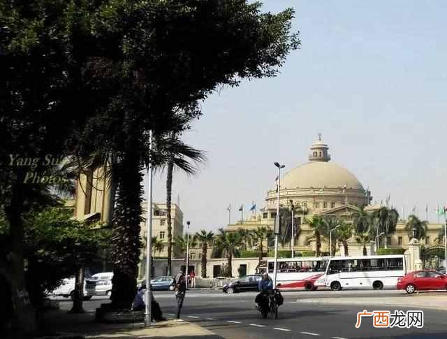 开罗大学是哪个国家的大学（开罗大学校园环境