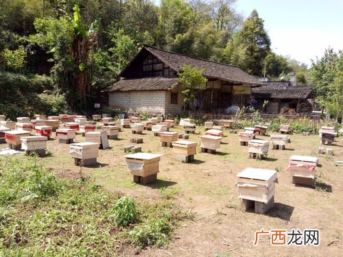 生财有道流水养鱼视频 生财有道土蜂养殖视频