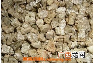 蛭石对多肉的作用 蛭石养殖多肉的用途