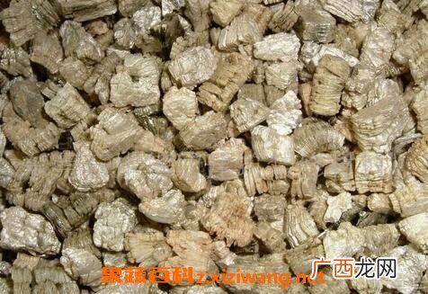 蛭石对多肉的作用 蛭石养殖多肉的用途