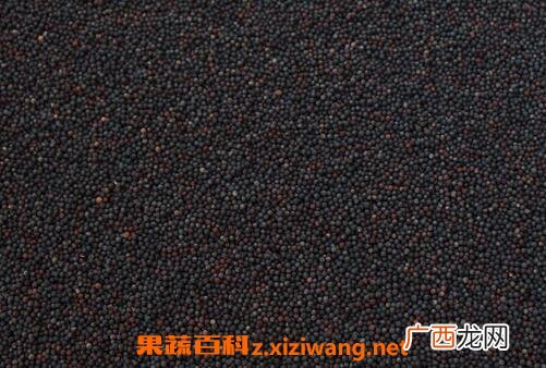 油菜花籽的作用与功效