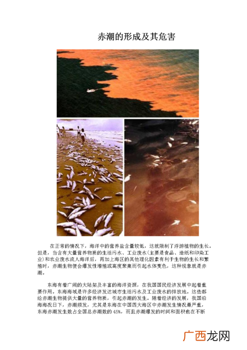 绿藻与水产养殖的关系 水产养殖甲藻怎样处理