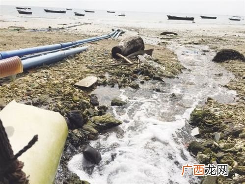 水产养殖尾水处理措施和方法 水产养殖尾水处理