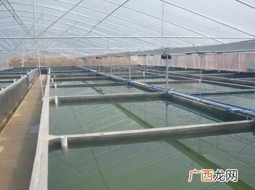 水产养殖尾水处理措施和方法 水产养殖尾水处理