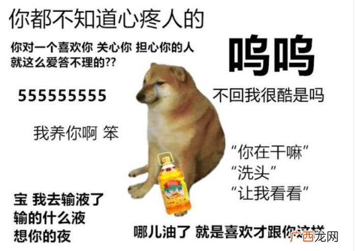 谁能在微博怼得过王思聪，怼过富二代王思聪的女星不少