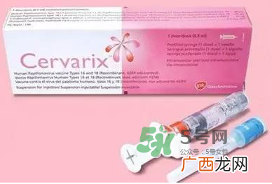 内地宫颈癌疫苗售价多少?中国内地HPV疫苗价格多少?