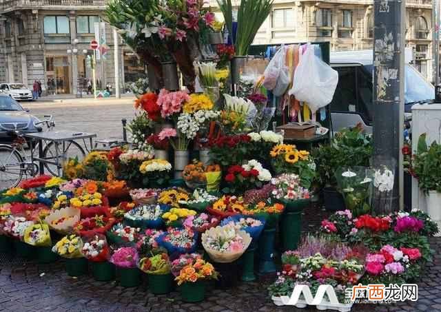 跟你关系好才告诉你这些! 怎么开好花店