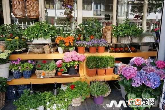 跟你关系好才告诉你这些! 怎么开好花店