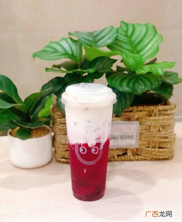 推荐几款好喝的 coco有什么奶茶