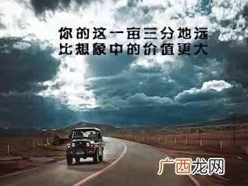金管家洗车靠什么盈利（不为人知内幕真相大曝