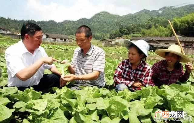 10月份可以种哪些蔬菜 十月份种什么蔬菜赚钱