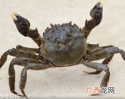 蜘蛛痣吃什么好?揭秘人体天生8大缺陷