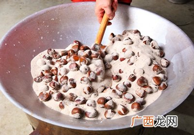 栗子是怎么长出来的开花结果取果仁