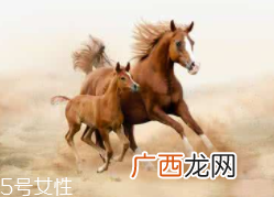 马油是万能的吗？接近人体脂肪也并不万能