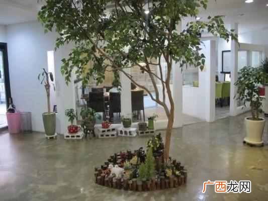 全南大学在哪个国家（全南大学学生宿舍环境如
