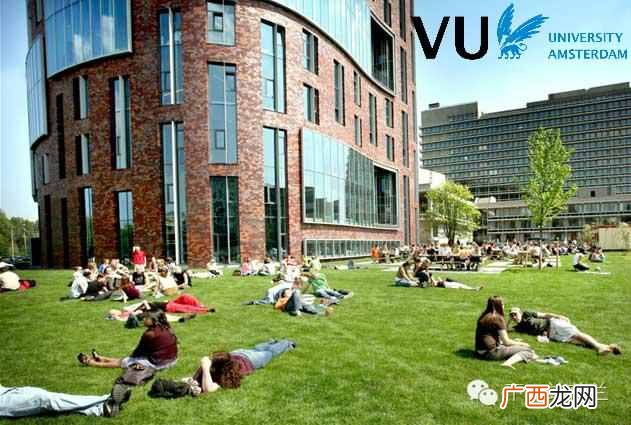 阿姆斯特丹自由大学往年排名多少（阿姆斯特丹
