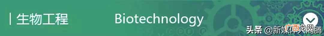 中国工商管理专业大学排名（工商管理学科全球