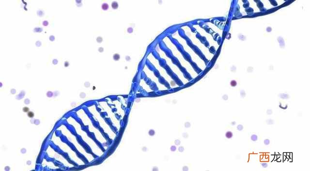 2019年生物专业大学排名（2019高考优秀考生报考的