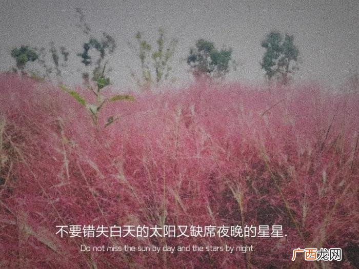 最近微信很火的句子 表达不想失去你的句子