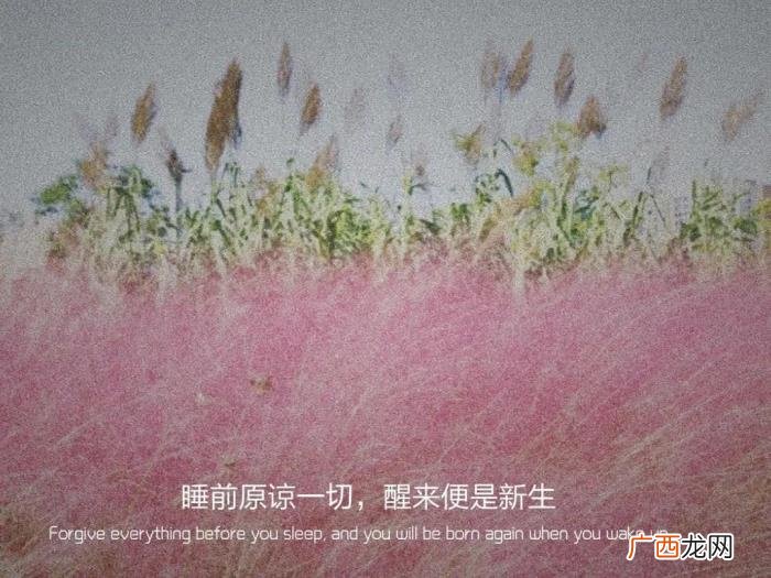 最近微信很火的句子 表达不想失去你的句子