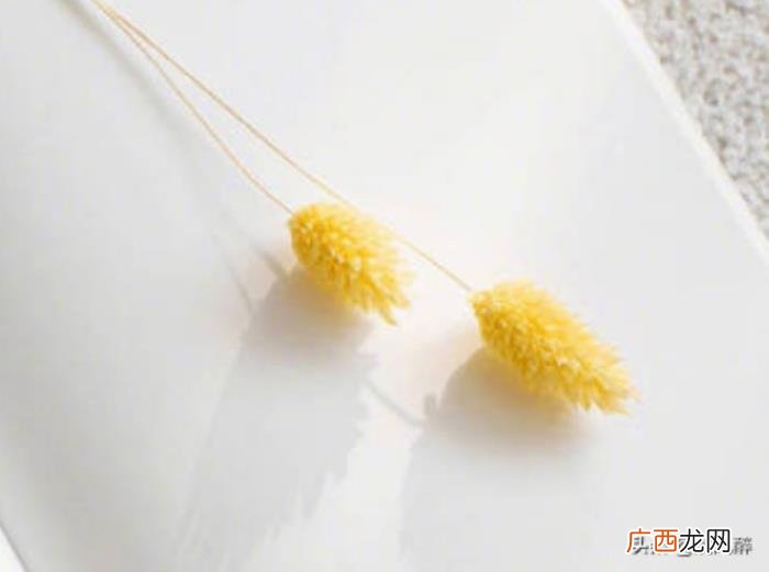 好听很经典的QQ空间说说 经典qq空间