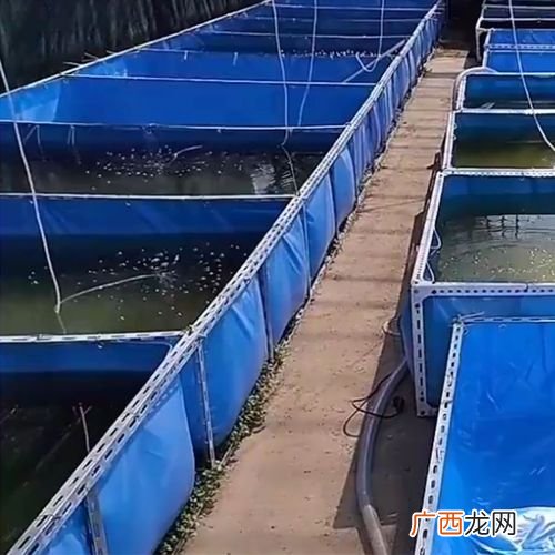 养殖管理系统 特种养殖自动投喂系统
