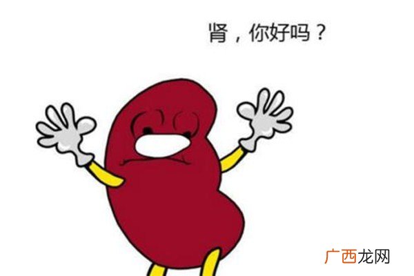 肾脏功能能下午做检查吗肾脏不好做哪些检查