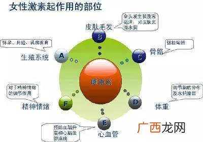 雌激素为什么会不足雌激素不足的原因