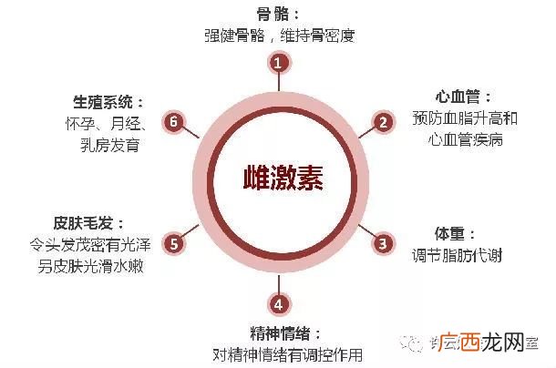 雌激素是什么雌激素的作用有哪些